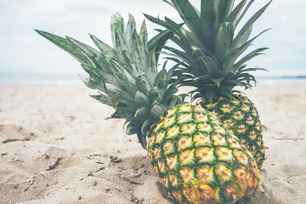 Two pineapple fruits near body of water